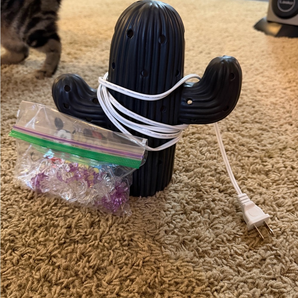 Modern Black Cactus Lantern